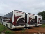 Expresso Gardenia 2800 na cidade de Araxá, Minas Gerais, Brasil, por Lucas Borges . Número da foto: #712810.