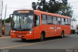 VCG - Viação Campos Gerais 1181 na cidade de Ponta Grossa, Paraná, Brasil, por Felipe  Dn. Número da foto: #:id.