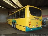 Viação Garcia 7981 na cidade de Apucarana, Paraná, Brasil, por Pedroka Ternoski. Número da foto: #719126.