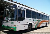 Empresa de Transportes Andorinha 5528 na cidade de Presidente Prudente, São Paulo, Brasil, por Thainan de França Barbosa. Número da foto: #:id.