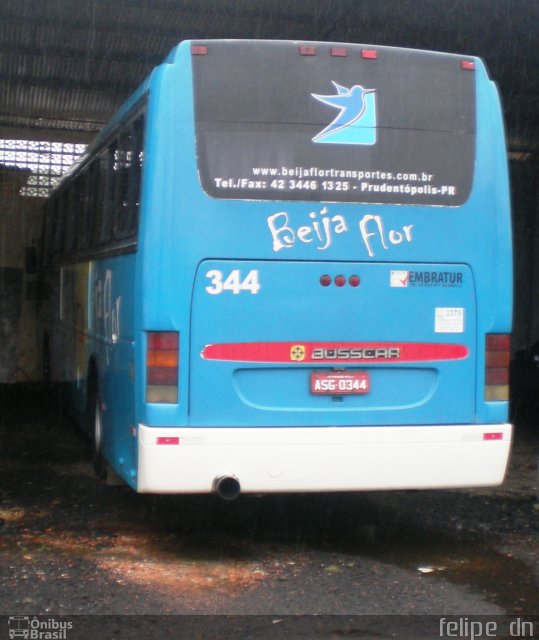Beija Flor 344 na cidade de Prudentópolis, Paraná, Brasil, por Felipe  Dn. Número da foto: #723090.