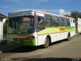 Transporte Rural BSG4815 na cidade de São Miguel Arcanjo, São Paulo, Brasil, por Luis Nunez. Número da foto: #725377.