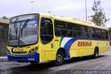 Auto Viação Reginas RJ 110.069 na cidade de Duque de Caxias, Rio de Janeiro, Brasil, por Carlos Eduardo Lopes. Número da foto: #728698.