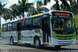 Viação Madureira Candelária B75641 na cidade de Assis, São Paulo, Brasil, por Francisco Ivano. Número da foto: #730069.