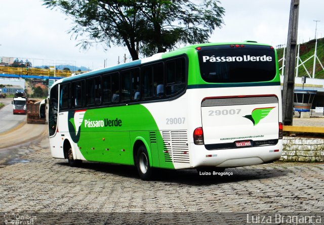 Pássaro Verde 29007 na cidade de João Monlevade, Minas Gerais, Brasil, por Luiza Bragança. Número da foto: #734965.