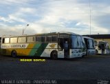 Empresa Gontijo de Transportes 10095 na cidade de Pirapora, Minas Gerais, Brasil, por Wagner Gontijo Várzea da Palma-mg. Número da foto: #741071.
