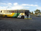 Empresa Gontijo de Transportes 10095 na cidade de Pirapora, Minas Gerais, Brasil, por Wagner Gontijo Várzea da Palma-mg. Número da foto: #741422.