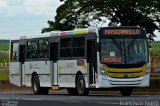 Real Auto Ônibus A41071 na cidade de Assis, São Paulo, Brasil, por Francisco Ivano. Número da foto: #744330.
