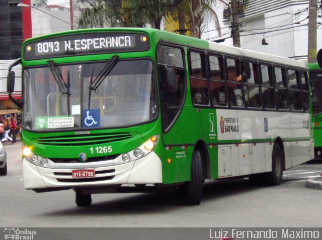 Viação Santa Brígida 1 1265 na cidade de São Paulo, São Paulo, Brasil, por Luiz Fernando Maximo. Número da foto: #749709.