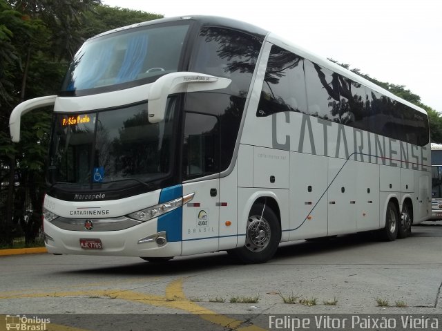 Auto Viação Catarinense 3200 na cidade de São Paulo, São Paulo, Brasil, por Felipe Vitor Paixão Vieira. Número da foto: #749534.