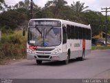 Borborema Imperial Transportes 250 na cidade de Jaboatão dos Guararapes, Pernambuco, Brasil, por Luiz Carlos de Santana. Número da foto: #:id.
