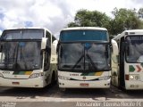 Empresa Gontijo de Transportes 14910 na cidade de Recife, Pernambuco, Brasil, por Alexsander Correia . Número da foto: #:id.