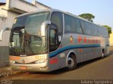 Paluana Transportes 12123 na cidade de Dracena, São Paulo, Brasil, por Juliano Sgrigneiro. Número da foto: #699054.
