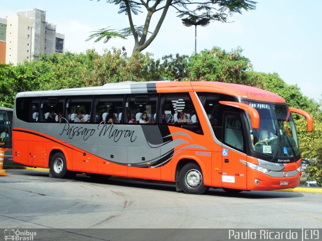 Empresa de Ônibus Pássaro Marron 5320 na cidade de São Paulo, São Paulo, Brasil, por Paulo Ricardo. Número da foto: #752317.