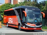 Lirabus 11071 na cidade de São Paulo, São Paulo, Brasil, por Paulo Ricardo. Número da foto: #752337.