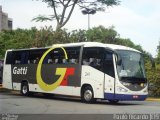 Gatti 241 na cidade de São Paulo, São Paulo, Brasil, por Paulo Ricardo. Número da foto: #752788.