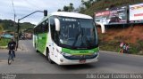 Pássaro Verde 1036 na cidade de Viçosa, Minas Gerais, Brasil, por Julio Cesar Euzebio Alves. Número da foto: #:id.