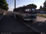 Ônibus Particulares 05 na cidade de Pelotas, Rio Grande do Sul, Brasil, por Samuel  Fagundes Pereira. Número da foto: #:id.