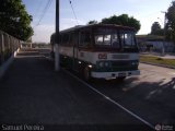 Ônibus Particulares 05 na cidade de Pelotas, Rio Grande do Sul, Brasil, por Samuel  Fagundes Pereira. ID da foto: :id.