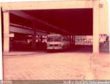 Viação Itapemirim 1005 na cidade de Belém, Pará, Brasil, por Walky Martins Nascimento. Número da foto: #317590.