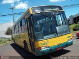 Viação Garcia 6457 na cidade de Apucarana, Paraná, Brasil, por Pedroka Ternoski. Número da foto: #320777.