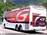 Expresso Gardenia 2905 na cidade de Cubatão, São Paulo, Brasil, por Adam Xavier Rodrigues Lima. Número da foto: #307038.