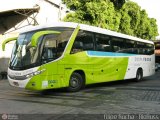 Costa Verde Transportes RJ 217.046 na cidade de Rio de Janeiro, Rio de Janeiro, Brasil, por Filipe Rocha. Número da foto: #326263.