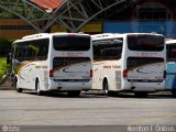 Imamura Turismo 4015 na cidade de Aparecida, São Paulo, Brasil, por Nerilton F.  ônibus. Número da foto: #327381.