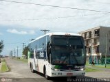 Planalto Transportes 954 na cidade de Tramandaí, Rio Grande do Sul, Brasil, por Alexandro Bentin Ribeiro. Número da foto: #:id.