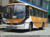 Cidade das Hortênsias 3035 na cidade de Petrópolis, Rio de Janeiro, Brasil, por Renan Vieira. Número da foto: #329569.