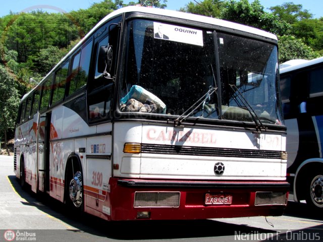 Ônibus Particulares 3190 na cidade de Aparecida, São Paulo, Brasil, por Nerilton F.  ônibus. ID da foto: 331806.