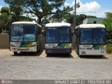 Empresa Gontijo de Transportes 10295 na cidade de Pirapora, Minas Gerais, Brasil, por Wagner Gontijo Várzea da Palma-mg. Número da foto: #332833.