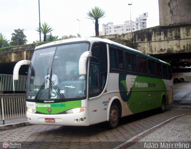 Pássaro Verde 2410 na cidade de Belo Horizonte, Minas Gerais, Brasil, por Adão Raimundo Marcelino. ID da foto: 309258.