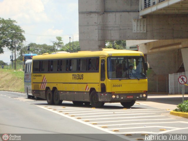 Viação Itapemirim 30081 na cidade de Campinas, São Paulo, Brasil, por Fabricio do Nascimento Zulato. ID da foto: 312278.