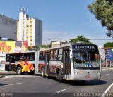 Rápido Campinas 10300 na cidade de Sorocaba, São Paulo, Brasil, por EDUARDO - SOROCABUS. Número da foto: #313298.