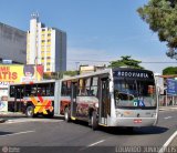 Rápido Campinas 10300 na cidade de Sorocaba, São Paulo, Brasil, por EDUARDO - SOROCABUS. ID da foto: :id.