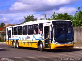 Restinga Transportes Coletivos 2494 na cidade de Porto Alegre, Rio Grande do Sul, Brasil, por Eduardo Machado. Número da foto: #312528.
