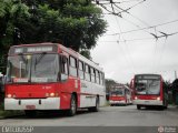 Himalaia Transportes > Ambiental Transportes Urbanos 4 1571 na cidade de São Paulo, São Paulo, Brasil, por Rafael Santos Silva. ID da foto: :id.