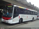 Rio Rotas Transporte e Turismo D81110 na cidade de Rio de Janeiro, Rio de Janeiro, Brasil, por Renan Vieira. Número da foto: #349600.