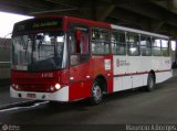 Nova Aliança  4 > Empresa de Transportes Novo Horizonte 4 4105 na cidade de São Paulo, São Paulo, Brasil, por Mauricio A. Borges. Número da foto: #:id.