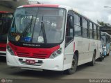 Rio Rotas Transporte e Turismo D81007 na cidade de Rio de Janeiro, Rio de Janeiro, Brasil, por Renan Vieira. Número da foto: #351671.