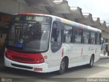 Rio Rotas Transporte e Turismo D81032 na cidade de Rio de Janeiro, Rio de Janeiro, Brasil, por Renan Vieira. Número da foto: #351682.