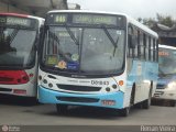Rio Rotas Transporte e Turismo D81043 na cidade de Rio de Janeiro, Rio de Janeiro, Brasil, por Renan Vieira. Número da foto: #351684.