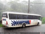 Breda Transportes e Serviços 411 na cidade de Cubatão, São Paulo, Brasil, por Adam Xavier Rodrigues Lima. Número da foto: #334618.