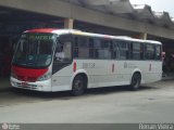Rio Rotas Transporte e Turismo D81138 na cidade de Rio de Janeiro, Rio de Janeiro, Brasil, por Renan Vieira. Número da foto: #352768.