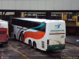 Empresa de Transportes Andorinha 5004 na cidade de Ribeirão Preto, São Paulo, Brasil, por Fernando Reis. Número da foto: #:id.
