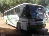 Norte Sul Transporte 1110 na cidade de Redenção, Pará, Brasil, por Gilberto  Sousa Nunes. Número da foto: #:id.