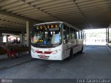 Empresa de Ônibus Pássaro Marron 6015 na cidade de Cruzeiro, São Paulo, Brasil, por Érick Zácaro Cabral. Número da foto: #:id.