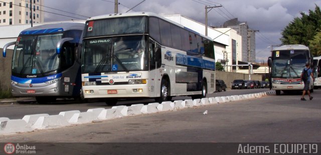 VIDA - Viação Danúbio Azul 9901 na cidade de São Paulo, São Paulo, Brasil, por Adems  Equipe 19. Número da foto: #335618.