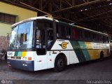 Empresa Gontijo de Transportes 9905 na cidade de Barretos, São Paulo, Brasil, por Fernando Reis. Número da foto: #335172.